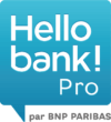 Logo Hello bank! Pro